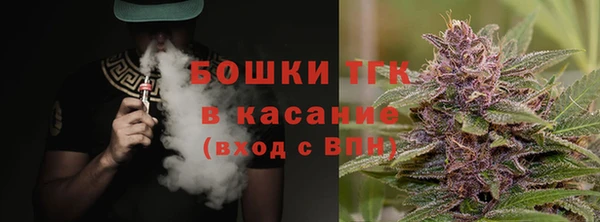 гидра Верхний Тагил