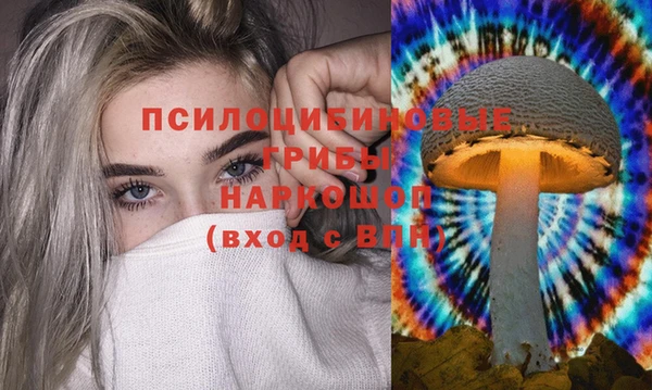 spice Сафоново