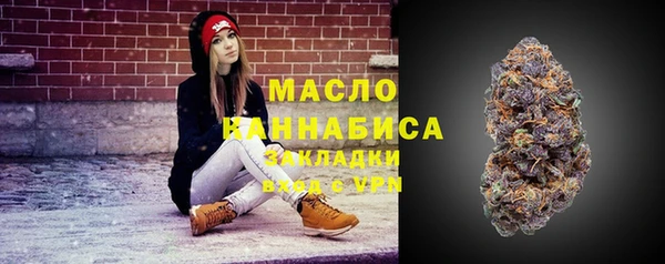 гидра Верхний Тагил